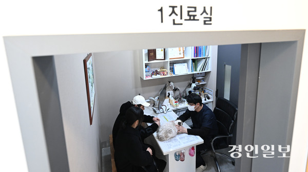 반려동물 양육 인구가 급격히 늘며 동물병원과 겪는 의료 분쟁이 확산하고 있지만, 관련 제도가 미비하다는 지적이 나온다. 경기도내 한 동물병원에서 수의사가 진료를 보고 있다. 2026.1.28 /최은성기자 ces7198@kyeongin.com