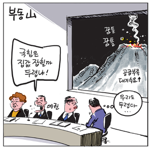 [경인만평] 부동山