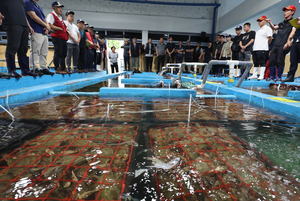어획량 역전에도 묶인 손… 인천만 ‘게’롭다 [차별받는 인천 어민·(2)]