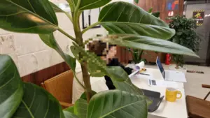 “본 적 없는 서류에 인감이…” 구리 갈매 휴밸나인 분양계약 둘러싼 법적 다툼