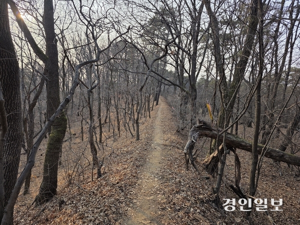 강화 중성의 성곽 자리는 현재 등산로가 돼 있다. 2026.2.1 /정진오기자 schild@kyeongin.com