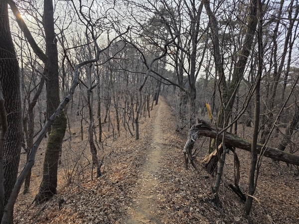 몽골군의 눈엣가시 강도(江都) 성곽