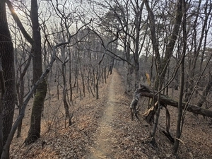 몽골군의 눈엣가시 강도(江都) 성곽 [강화 속 고려를 찾아서·(27)]