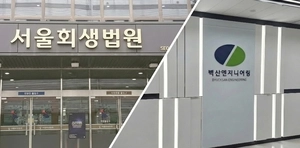 벽산엔지니어링 회생계획안 인가… 기업회생절차 종료