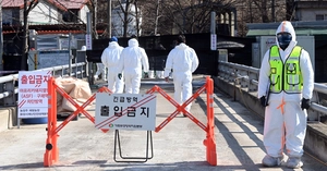 화성 돼지농장서 아프리카돼지열병… 전국 9번째