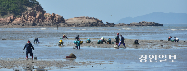 올해 예산이 전액 삭감된 인천어촌특화지원센터의 활성화를 위한 인천시 대책이 필요하다는 지적이 나왔다. 인천 어촌계 주민들 모습. /경인일보DB