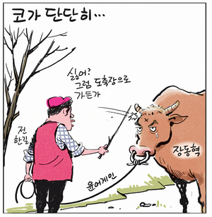 [경인만평] 코가 단단히…