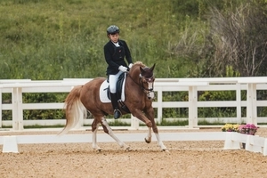 유소년 마장마술 국가대표 나원제 [경인 체육 유망주 The 챌린저·(130)]