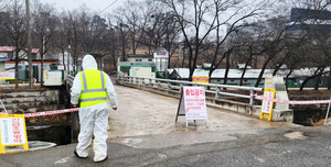 [현장르포] 경기 곳곳 휩쓰는 아프리카돼지열병… 명절 앞두고 ‘농가 이동 자제’