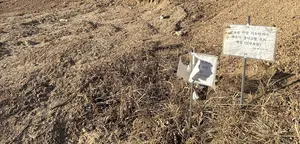 용인 반도체 단지로 땅값 오르자 ‘사라진 조상묘’… 종중원 갈등 불씨