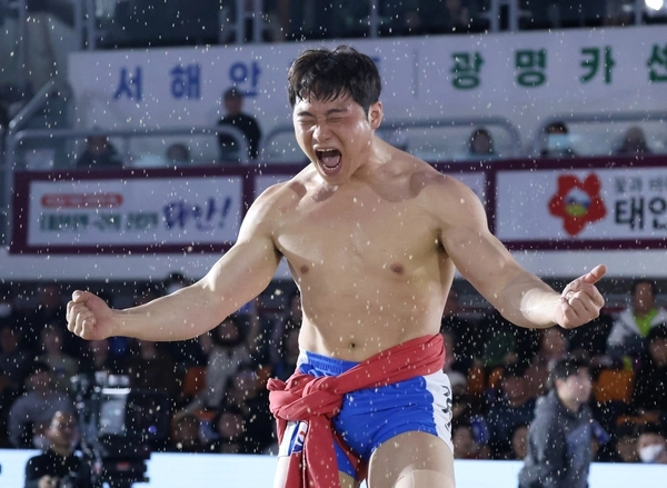 2026 태안설날장사씨름대회 금강장사 결정전에서 정종진에 짜릿한 역전승을 거두고 정상에 오른 김기수가 우승을 확정한 뒤 포효하고 있다. /대한씨름협회 제공