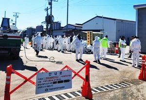 포천 산란계 농장서 고병원성 조류인플루엔자 발생