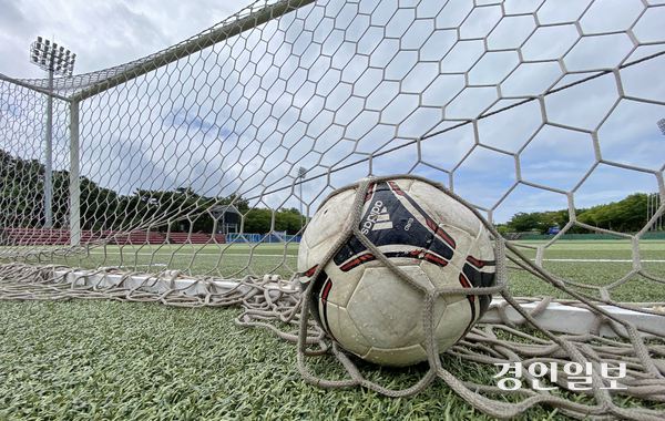 시민구단은 구단주인 지자체장의 한마디로 존폐 위기까지 내몰리기도 하거나 낙하산 인사가 단장이나 대표이사로 취임하면서 내홍을 겪기도 했다. /경인일보DB