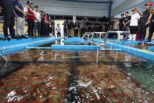 해수부, 인천 꽃게 TAC 반토막에 예비분 ‘살짝’ 풀었다