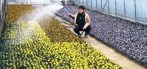 [포토] 형형색색 만개한 봄