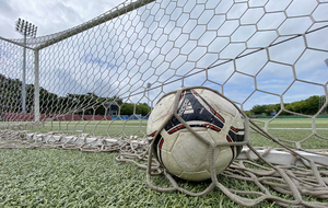 말한마디로 존폐 위기… 지자체장이 ‘쥐락펴락’ [K리그 시민구단의 현실·(3)]