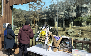 [단독] 서울대공원서 호랑이가 호랑이 공격해 폐사 ‘관리부실 논란’