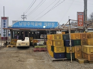 별내·왕숙 등 택지개발 여파… 남양주 ‘먹골배’ 자취 감출판