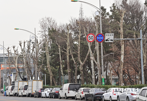 26일 오후 인천 남동국가산업단지 내 가로수가 과도한 가지치기로 윗부분이 뭉텅이로 잘려나가 흡사 ‘닭발’을 연상시키고 있다. 2026.2.26 /조재현기자 jhc@kyeongin.com