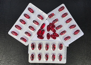 묻지 않는 ‘창고형 약국’… 놀이처럼 퍼진 약물남용