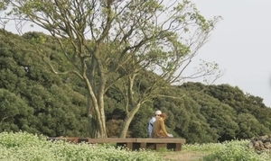 [新팔도핫플레이스] 연인들의 성지 ‘제주도’