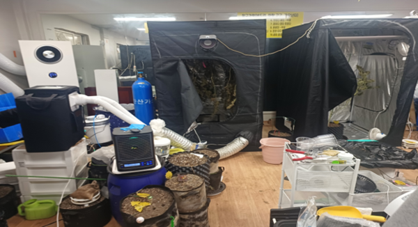 오산역 인근 상가건물에서 전문 시설을 설치해 대마를 재배하고 있는 모습. /합수본 제공