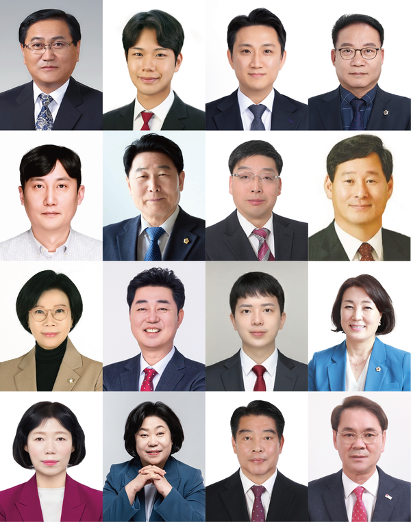 개그우먼 출신·20대 청년·전현직 시의원... 성남시의회 도전자들 '윤... - 뉴스 썸네일 이미지