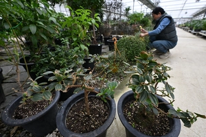 난방·운송비 부담 농가, 소비 위축될라 ‘눈물’