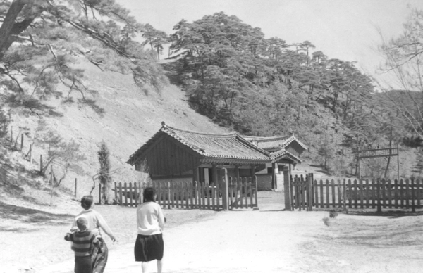 단종의 유배지였으며 그의 묘로 알려진 슬픈 역사를 간직한 장릉을 관광객들이 단종의 자취를 느끼며 구경하고 있다<1999.11> /강원일보 제공