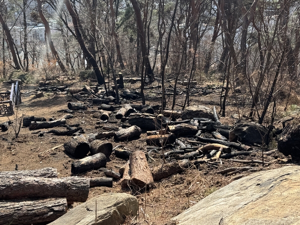 검게 탄 나무토막에 매캐한 냄새 