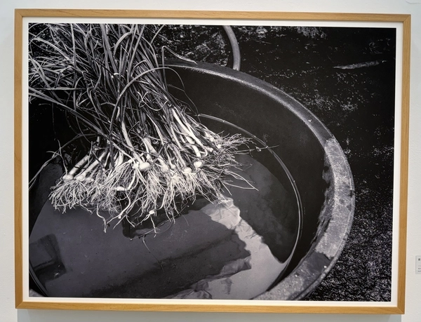 서은미 作 전(前), 2020, Archival Pigment Print, 80×60㎝. /박경호기자 pkhh@kyeongin.com