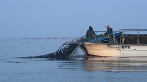 김 산업 키운다더니… 경기도, 예산 30% 삭감