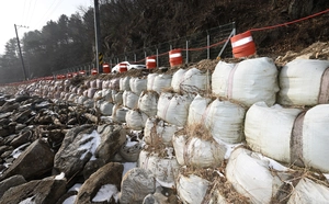 5명 목숨 앗아간 폭우… 아직도 ‘그날의 재난’을 견디고 있다 [기후재난, 남겨진 사람들·(1)]