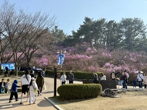 [현장르포] 분홍빛 진달래 군락지엔 봄 향취 가득… 부천 페스타 개막