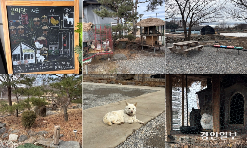 시계 방향으로 율믜당의 전경을 그려놓은 지도, 율믜당의 넓은 마당, 마당에 사는 동물들, 마스코트인 라떼, 카페 구석구석에 가족의 손길이 묻어있는 모습. /신현정기자 god@kyeongin.com