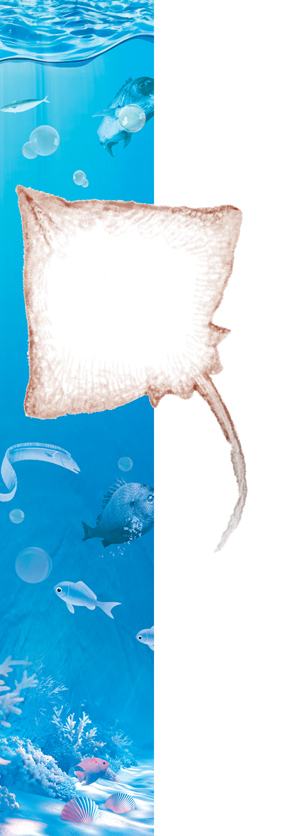 그래픽/박성현기자 pssh0911@kyeongin.com/클립아트코리아