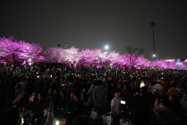 3일 오산천에서 열림 ‘2026 오산천 벚꽃 축제’에 시민들이 조명에 은은히 빛나는 벚꽃을 감상하고 있다./ 오산시 제공