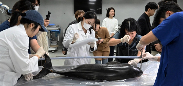 ‘웃는 돌고래’ 왜 우리 바다서 눈물 흘렸나