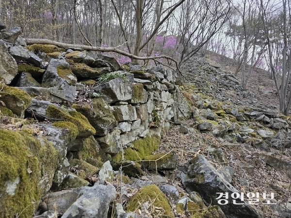 고려산의 고려산성터. 흙과 돌로 쌓은 토석성이라고 하는데, 요새는 허물어져 내린 석성 부분이 눈에 띌 뿐이다. 2026.4.13 /정진오기자 schild@kyeongin.com