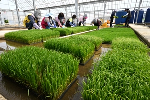 [포토] 모내기 전초전