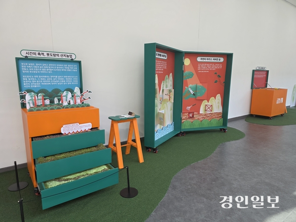국립농업박물관 테마전 ‘금강송 곁에’ 전시 모습. 2026.4.17 /구민주기자 kumj@kyeongin.com