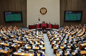 [사설] 여야, 명분없는 광역 비례 증원·지역사무실 허용