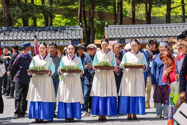 지난 24일부터 사흘간 용문산관광지 일원에서 열린 ‘제16회 양평 용문산 산나물축제’가 15만 5천명의 방문객을 끌어모으며 성황리에 막을 내렸다. 산나물 진상행렬 퍼포먼스가 진행되고 있다. /양평군 제공