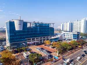 [6·3 지방선거 나요나-인천 옹진 광역·기초의원] 유권자들 각 섬 이익 최우선… 중앙 집권 與 우세했던 경향