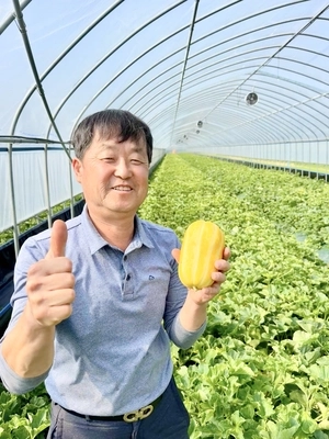 “아삭하고 달콤한 여주 금사참외, 지금이 딱입니다”