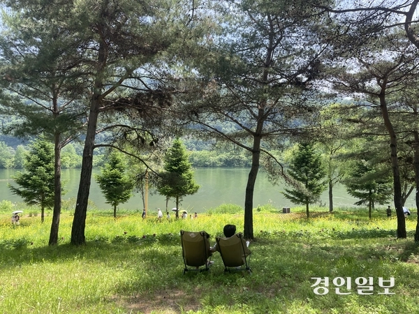 지난 24일 가평군 자라섬 꽃 페스타를 찾은 시민들이 잣나무 숲속에서 휴식을 취하고 있다. 축제가 열리는 남도 약 11만㎡ 규모 정원에는 양귀비, 아이슬란드 포피, 델피니움, 로벨리아, 콜레우스, 맨드라미 등 다양한 봄꽃과 초화류 등이 조성됐다. 2026.05.25 가평/김민수기자 kms@kyeongin.com