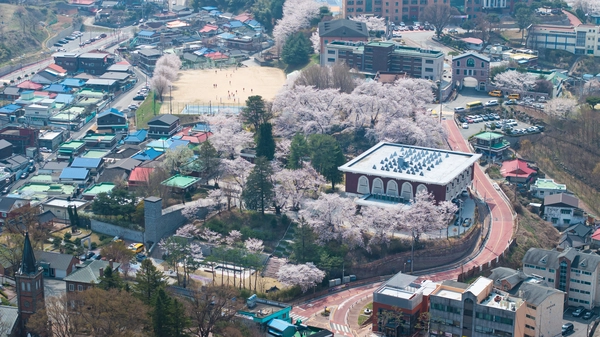 충남역사박물관과 공주 시내 풍경. /충남도 제공