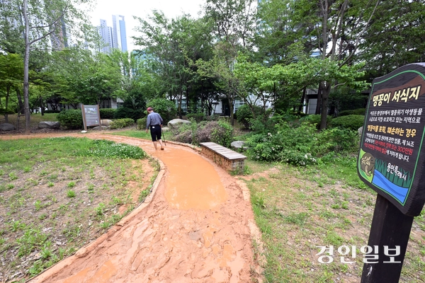 27일 용인시 기흥구 영덕동 하수처리시설인 ‘영덕레스피아’ 내 공원 맹꽁이 서식지에 황톳길이 조성 돼 있다. 2026.5.27 /임열수기자 pplys@kyeongin.com
