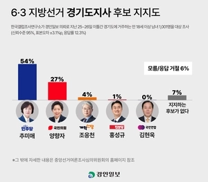 경기도지사, 추미애 54% vs 양향자 27%… 과반 넘긴 추미애 [경인일보-한국갤럽 여론조사]
