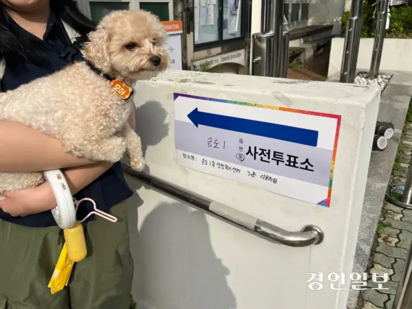 제9회 전국동시지방선거 사전투표 첫날인 29일 오전 8시께 인천 연수구 송도1동행정복지센터 3층에 마련된 사전투표소에서 한 시민이 반려견과 함께 포즈를 취하고 있다. 2026.5.29 /송윤지기자 ssong@kyeongin.com